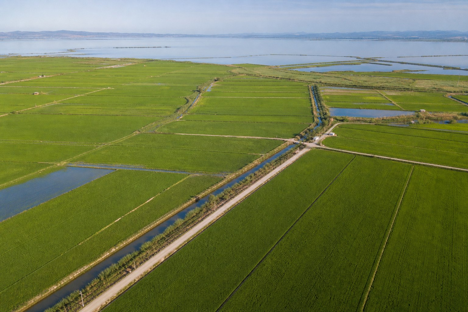 Vista aérea de los arrozales y canales de l'Albufera
